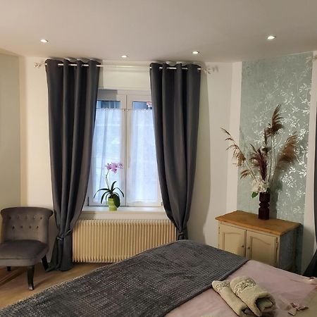 Mirka & Franck Apartment Chic 4 Stars Parking Free Colmar Luaran gambar