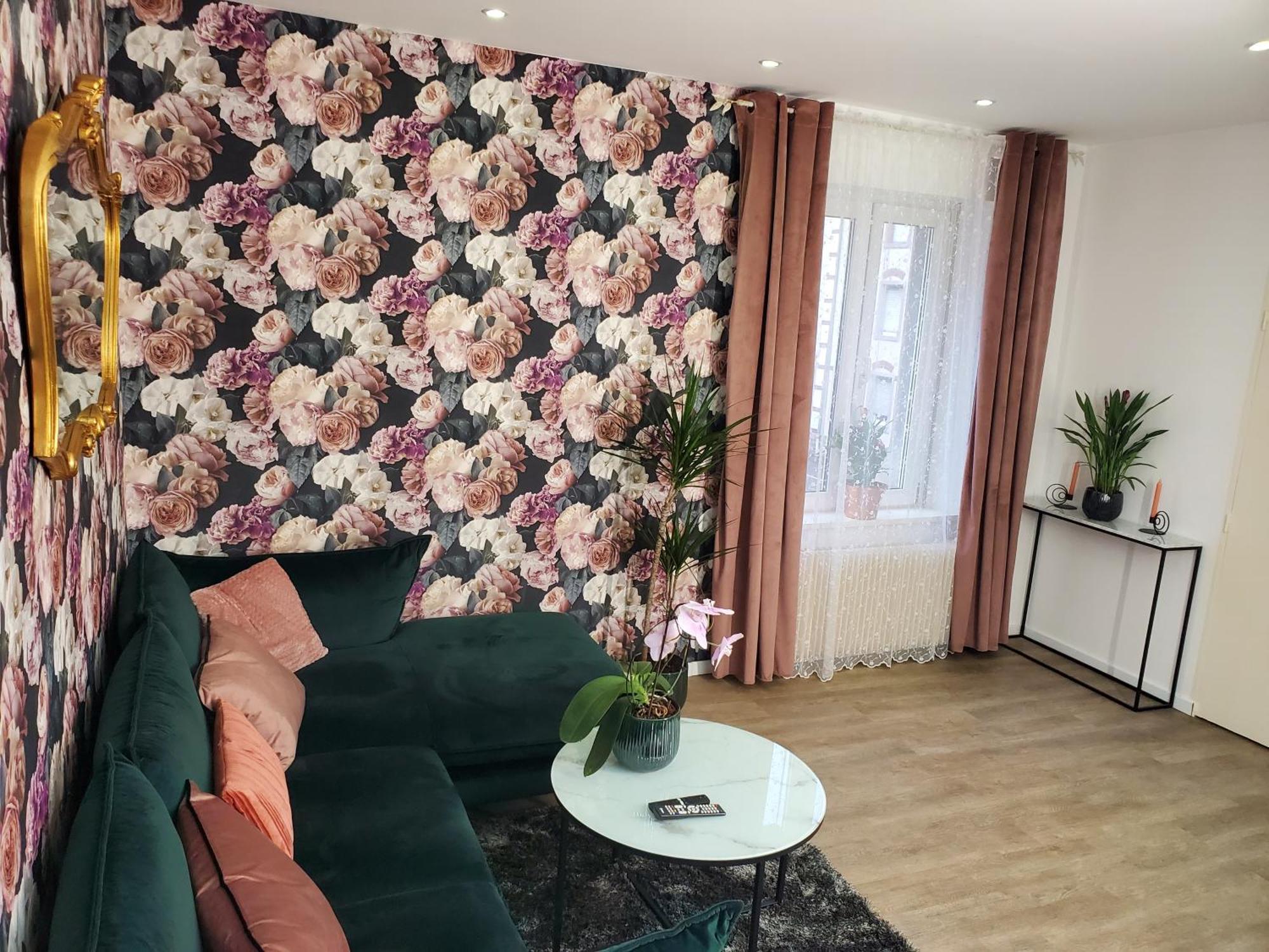 Mirka & Franck Apartment Chic 4 Stars Parking Free Colmar Luaran gambar