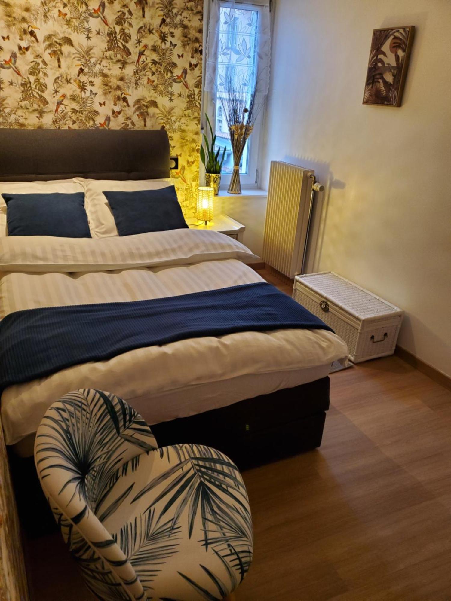 Mirka & Franck Apartment Chic 4 Stars Parking Free Colmar Luaran gambar
