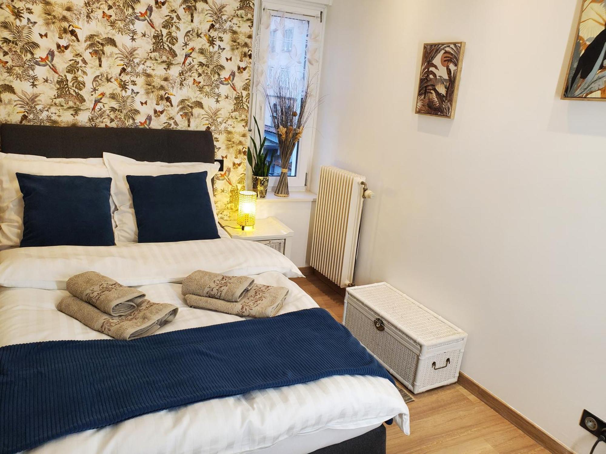 Mirka & Franck Apartment Chic 4 Stars Parking Free Colmar Luaran gambar